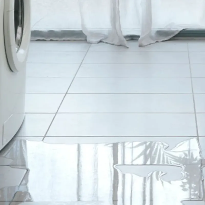 Appliance Leak Cleanup in Clackamas County, OR