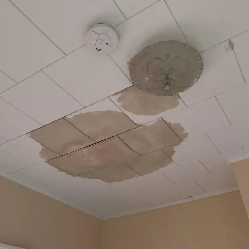 Ceiling Water Damage Repair in Clackamas County, OR