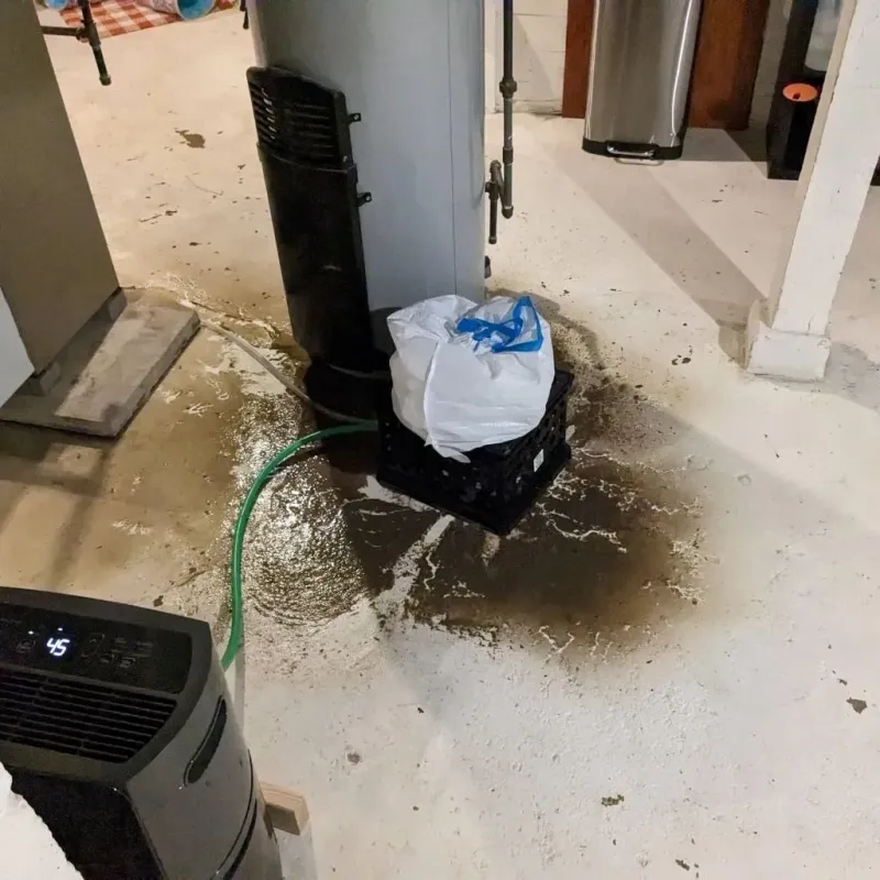 Sewage Backup Cleanup Service in Clackamas County, OR